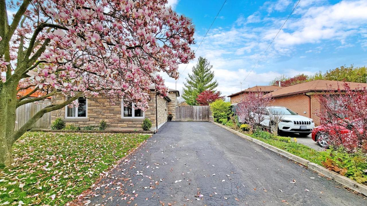 Lovely Home Toronto Airport מראה חיצוני תמונה